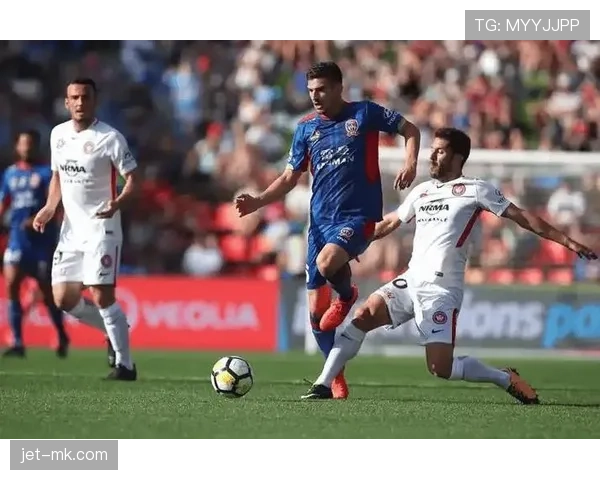 诺维奇球迷忠诚度获赞,主场氛围持续提升 诺维奇球迷忠诚度获赞,主场氛围持续提升